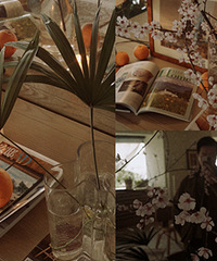 ·�߼�Ļ�֦���ûؼҲ�ƿ�ܺÿ�