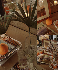 ��л����Ȼ��������·�߼�Ļ�֦�ûؼҲ�ƿ�ܺÿ�