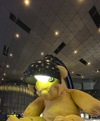 ��¼���ڰ����У��羰�������������Ķ�