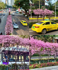 ������������һ������ѳ���ҡ������