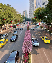 ������������һ������ѳ���ҡ�����أ�·�м�Ļ�����̫����