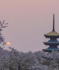 ��ĩ2��ȥ�人��ӣ���䲩���