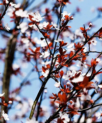 ����������ͻ�ָ�ϣ��Ͻ��ղأ�