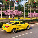 �������ĸ��������