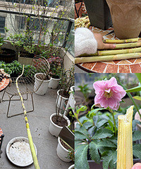 �Լ��ֵĸ��ᣬ�߶Ⱦ�Ȼ��һ��¥��