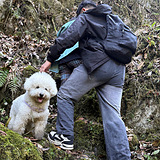 ���Ź���ȥ�ϴ�ͽ��