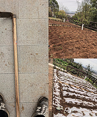 û��ʵ���ֵؾ�����ң���һ�����ؿ���