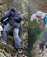 ���Ź���ͽ���ϴ����羰�ù���Ҳ����