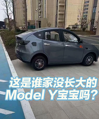û�����Model Y����