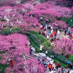 ����������ͻ�ָ��