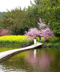 [����]�������磬�������ã�ӣ�������������Ϸ���������