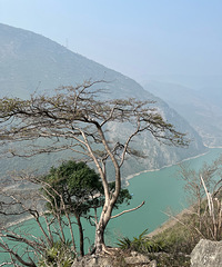 ��һ�����׵��˽��ɣ�