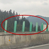 �����ϵ���׮��ʲô