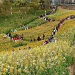 ���Ǿ����Ͳ˻�����