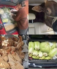 ���ڷ��̴�ҵĺ���