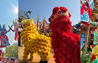 ���ڿ�����������ɫ��ƮɫѲ�Σ�����������ʨ