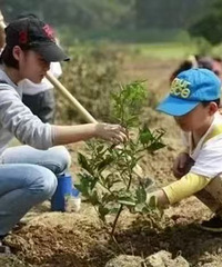 ֲ�����޶������ָ�����+��Ұ���۶���