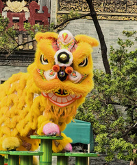 ������̫�ʺϹ�����