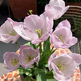 �쿪л�����������