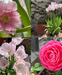 ɽ�軨�������ӿ������ã��������л��