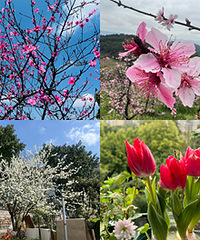 �������ͻ��ļ��ڣ�Ҳ���µĿ�ʼ