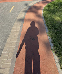 ����·������ܽ�����֬�����о����嶼���˲���