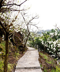 ����ڣ��ν�������������꣡