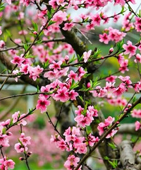 ������һ������ˣ��ߣ���ĩ��ȥ��