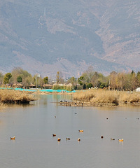 �����Լ�ȥ���������ߣ�����-����-��Դ