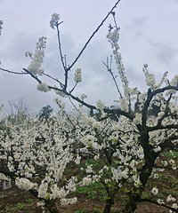 [����]�ҵĵ��������ĩһ����ȥӡ�п�������������