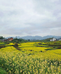 Ů���ײ����ĩ�������ͻ�����ʱ