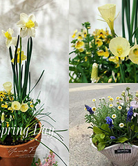 �����������������ˣ�̫̫�ÿ���