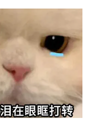 ����ý���������������ˣ�˭�ܰ��������������