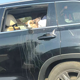 �������γ�����һ��