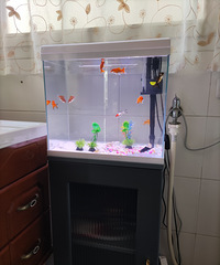 20���Ϸ��������Ϳ������죬�����˸����������