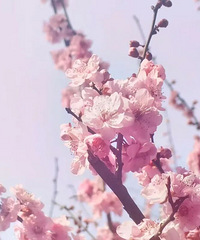 [����]������˵˵������ʮ�굽�׿��������ԭ����ô������