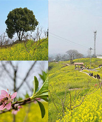 �����ۻ���ȥ���Ͳ˻�����