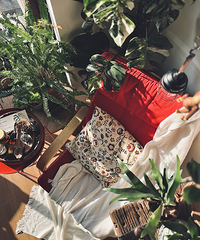 [����]ƾ���黻���֣���ʰ�˸�����ɹ̫���Ľ��䣬�ڼ����ܴ���