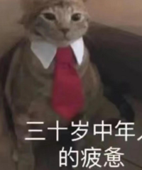 �̵���Щ����ʱ�����ӣ������Ӱ������������ϰ��