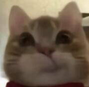 [����]�̵���Щ����ʱ�����ӣ������Ӱ������������ϰ��