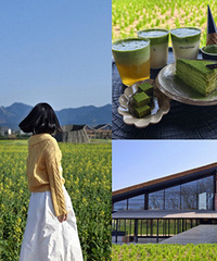 ������������ܴ���忴�Ͳ˻�ƷĨ��