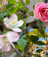 ���Ǹ����ʣ���˿����ֻ���ǵĿ��˼���