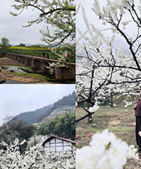 �����ܱ�����ͻ��أ����ڻ���������