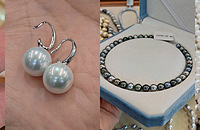 ����ǰ�������̿����ˣ���ʽ��Ʒ�ʺã��Լ۱�����