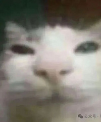 [����]������Գ�ʲô�ز����б�ɧ�ŵ�������Ī����������