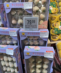 ole���еĶ�������һ���������ѵ��𰡣�