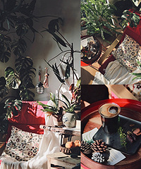 ƾ���黻���֣���ʰ��һ��ɹ̫���Ľ���