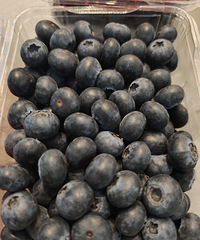 ��������ȥ���������ݮ������������������