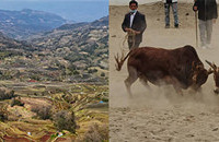 �������ˣ����26�꿪�������ᶫ��7�մ��ڣ�