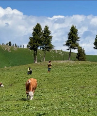 [����]ȥ���½������ѣ���������װһ��8�·�12���½����԰�